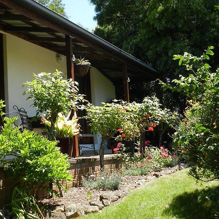 Wagners Cottages Swansea Eksteriør billede