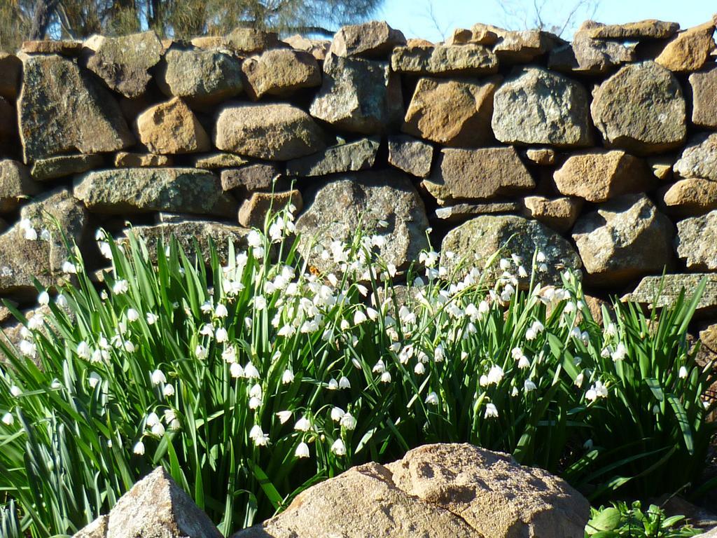 Wagners Cottages Swansea Eksteriør billede