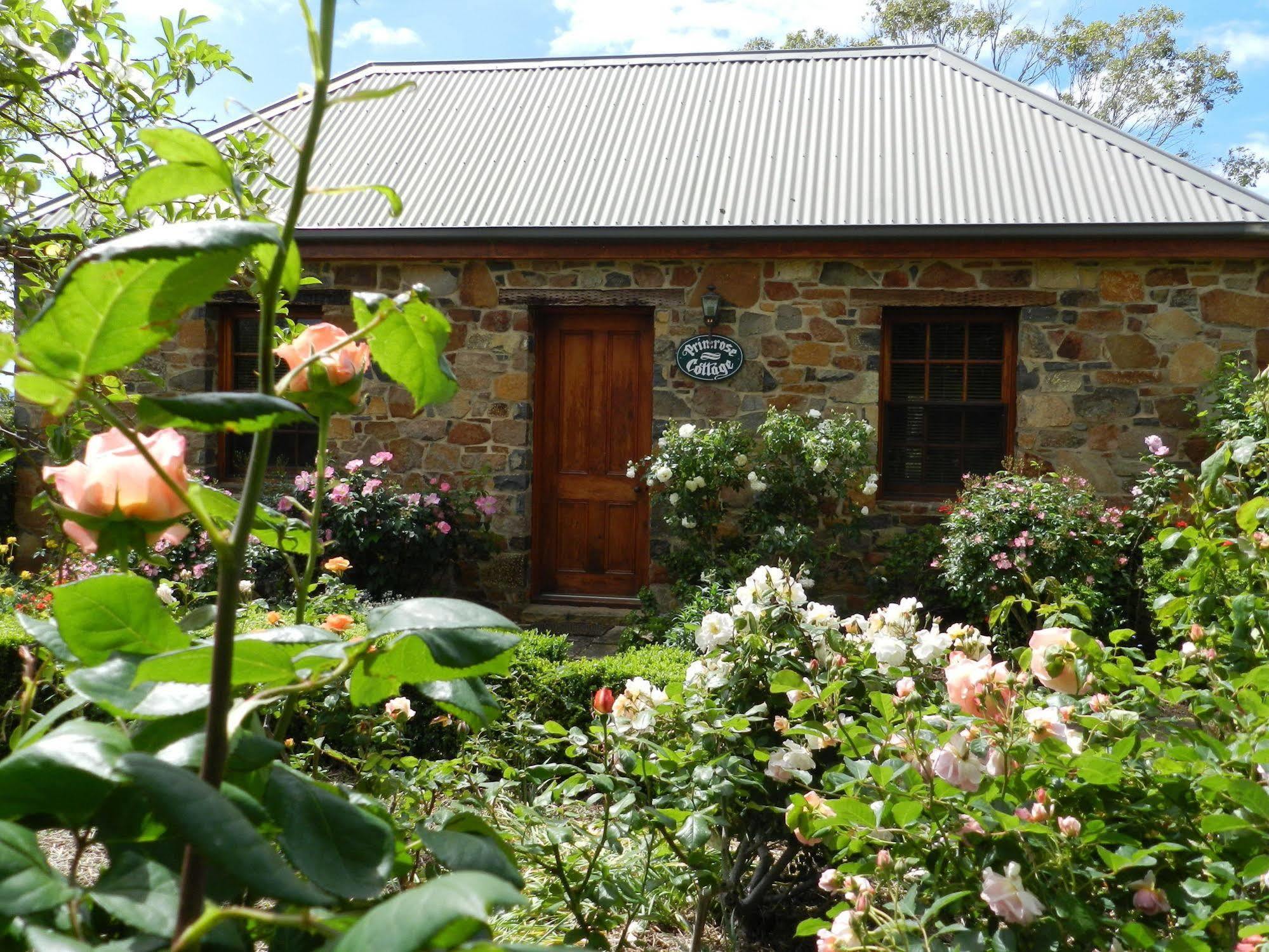 Wagners Cottages Swansea Eksteriør billede